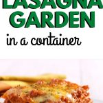 lasagna garden
