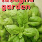 Growing a Lasagna Garden in a Container is a great use of space and allows you to grow a themed garden even if you don’t have that huge backyard garden!