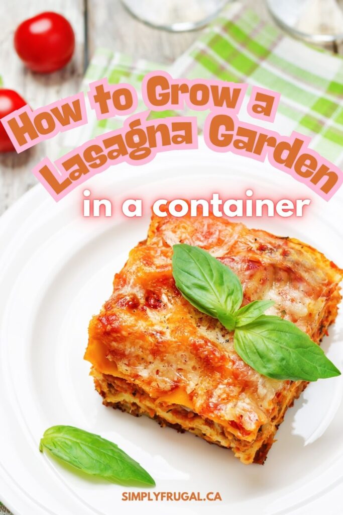 how to grow a lasagna garden