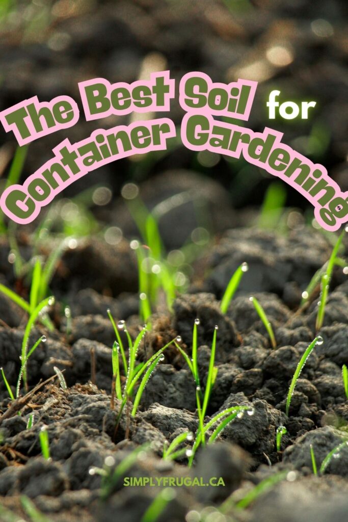 The Best Soil for Container Gardening