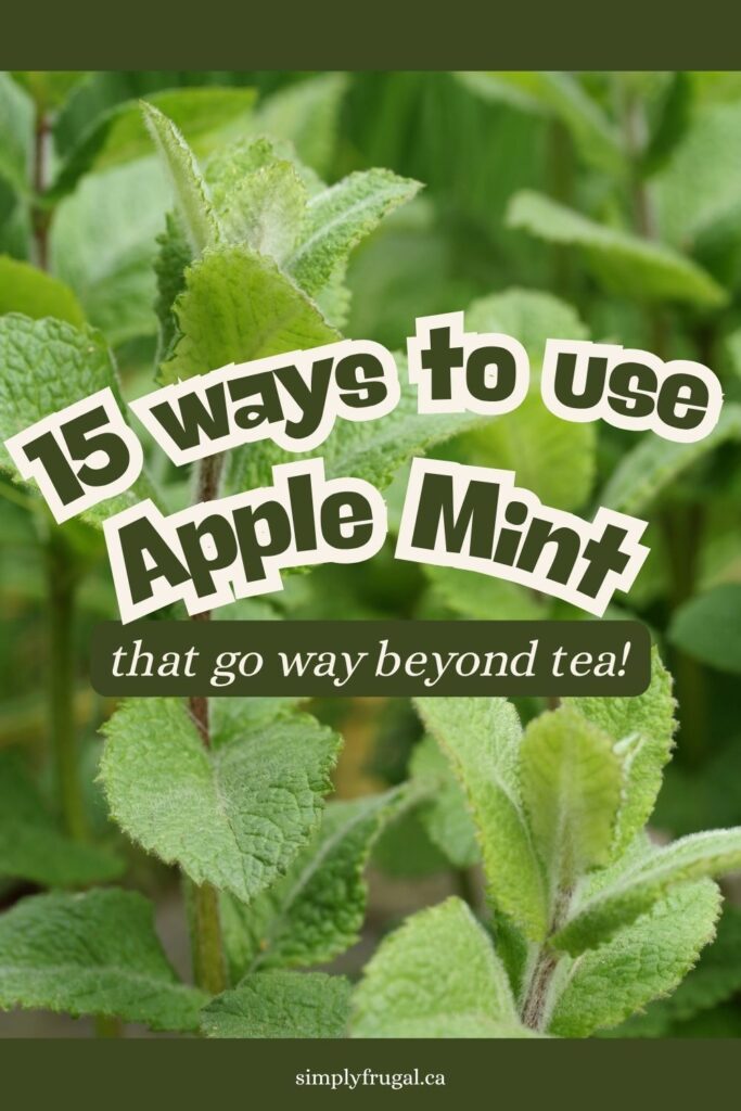 ways to use apple mint