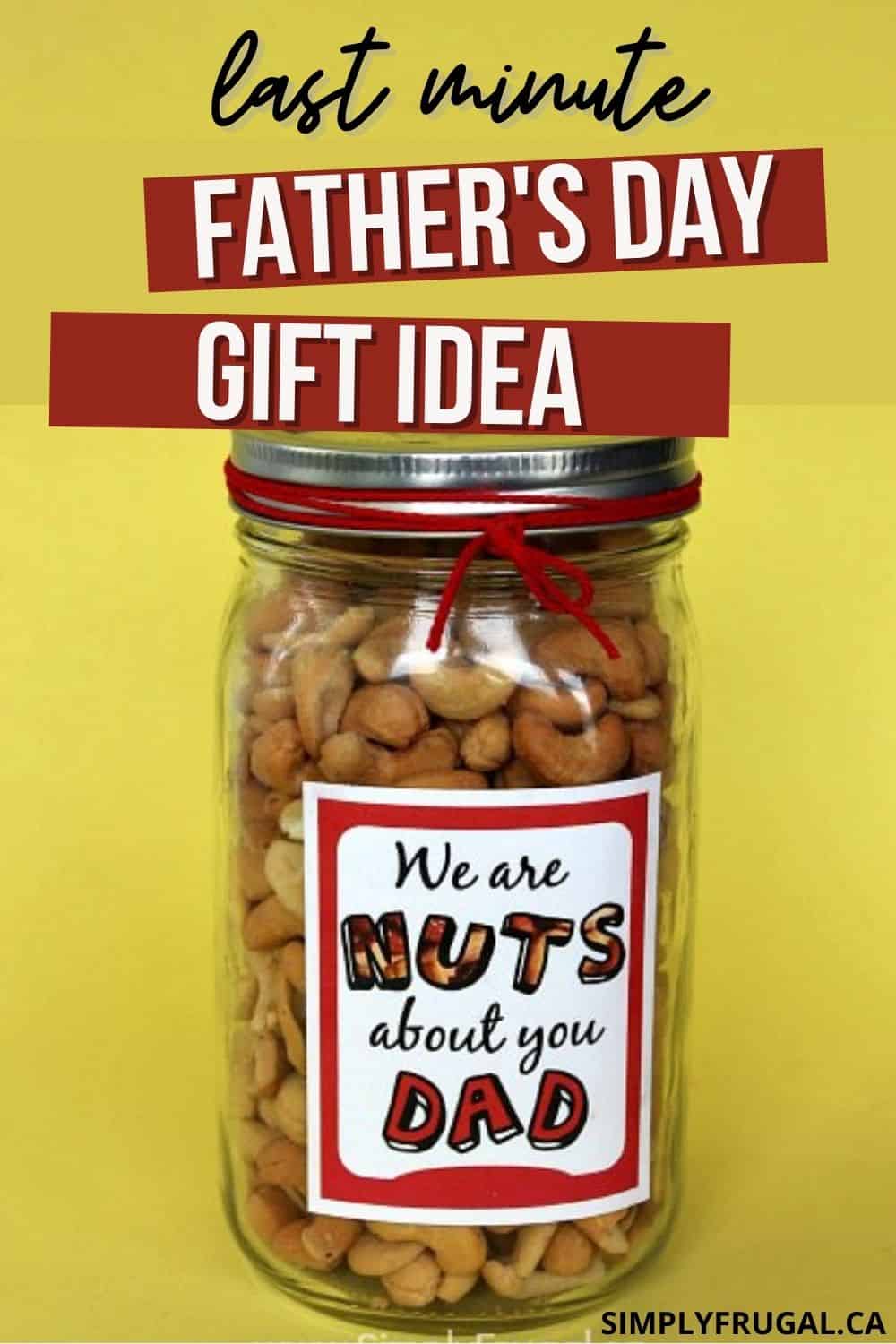 Father's Day Gift Idea