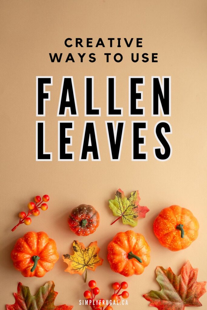 creative ways to use fallen leaves