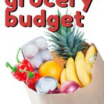 Don't miss these top Tips For Creating A Functional Grocery Budget. There are great ideas to give your family a great meal at a reasonable price! #grocerytips #budget #budgeting #groceryhacks