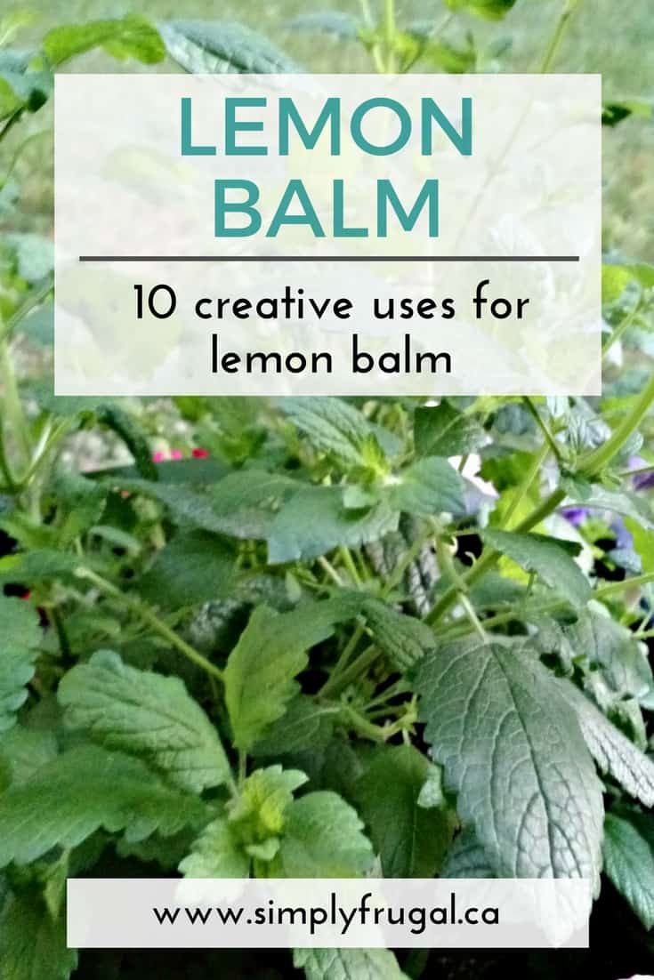 10 creative uses for lemon balm