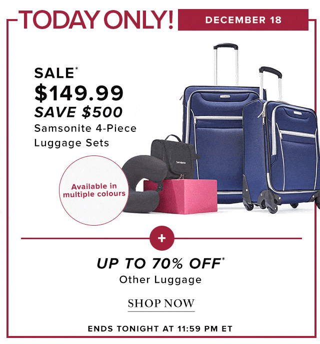 the bay luggage samsonite
