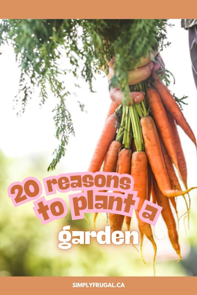 20 reasons to plant a garden