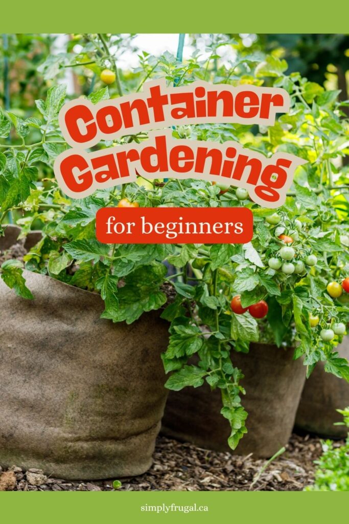 container gardening for beginners