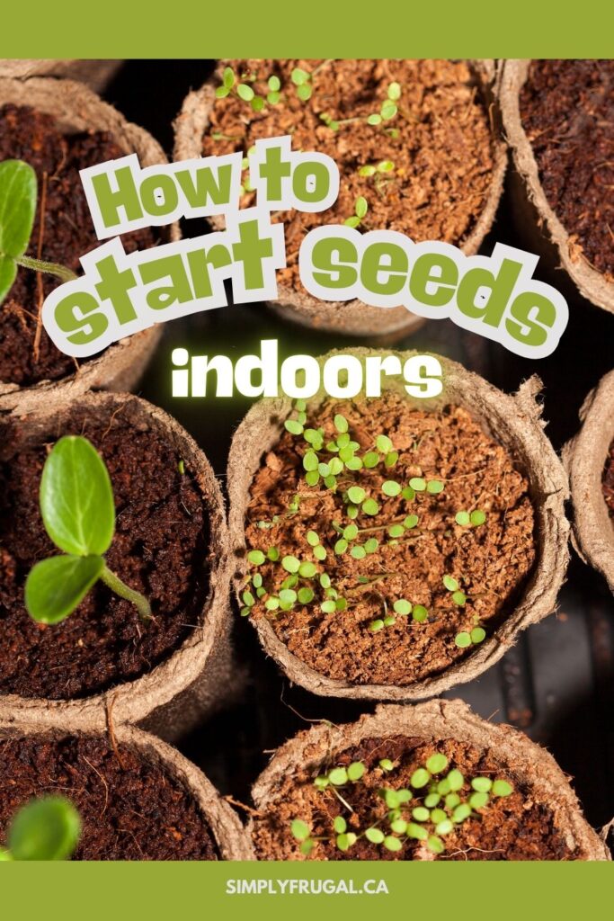 how to start seeds indoors