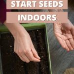how to start seeds indoors
