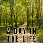 a day in the life of a frugal person