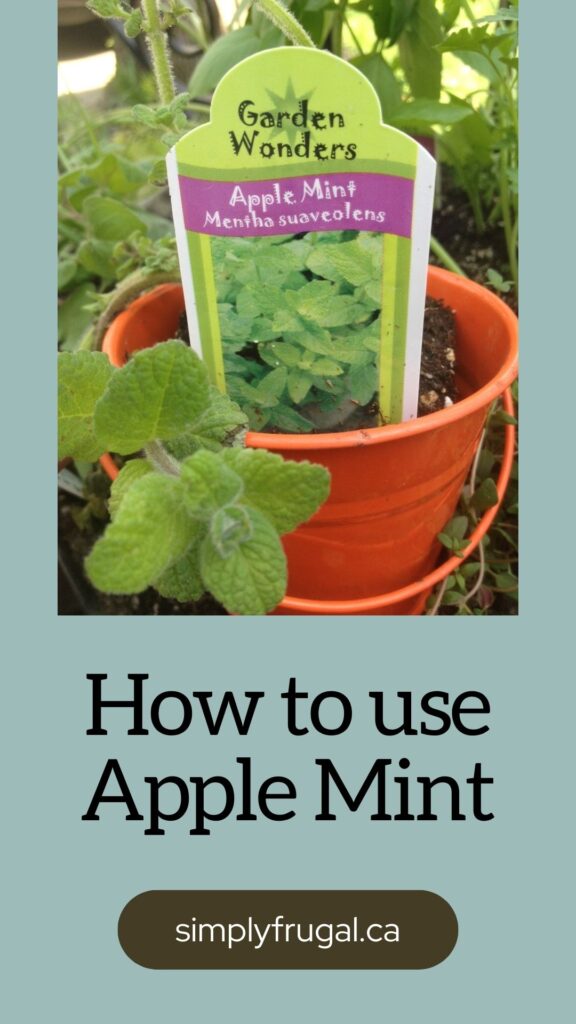 how to use apple mint